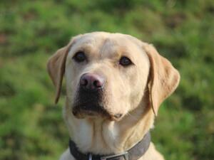 Mum Darcey