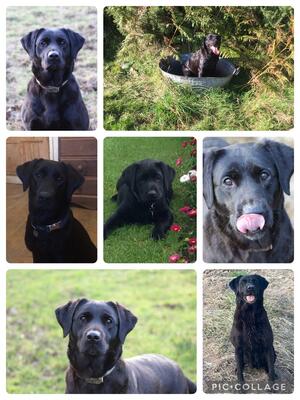 Mum Purdey
