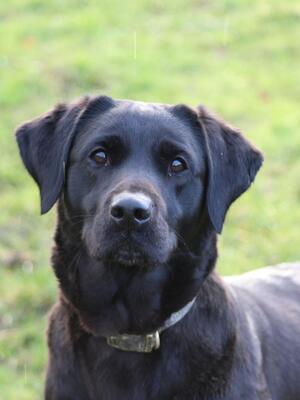 Mum Purdey