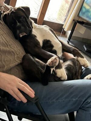 Lola on dads lap