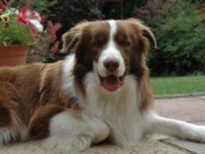 Flynn age 17 months
