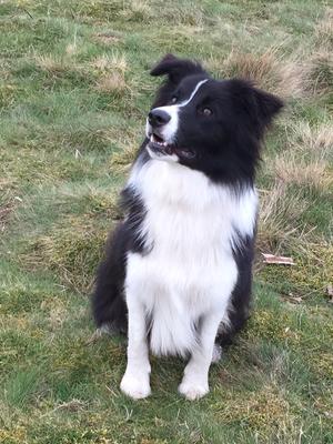 Indi 11 months