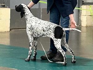 Pepper at a recent show