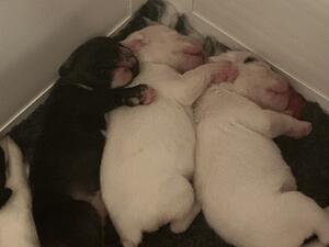 Bedtime
