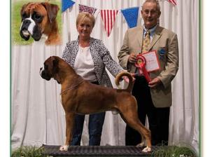 Rudi winning the CC & BoB at City of Birmingham
