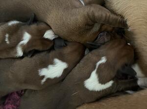Feeding time