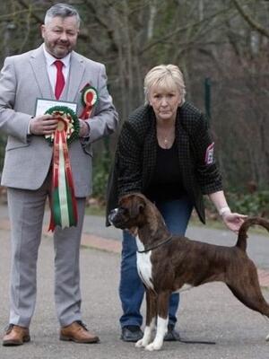 Zara winning the CC at the Anglian
