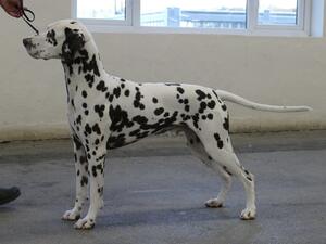 George