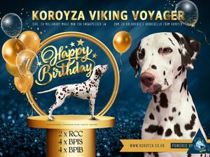 Koroyza Viking Voyager