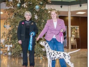 Breagh winning Best in Show
