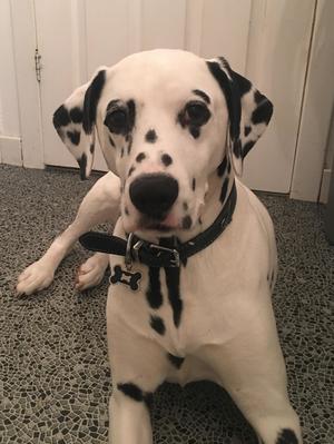 Charlie