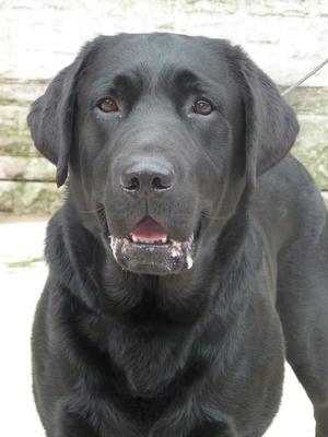 Parker