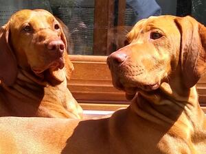 Mum (Belle) & Daughter (Tilly)