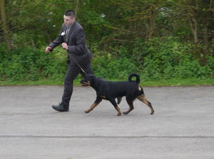 Lewis & Jade on the move
