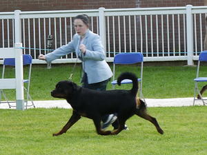 Page & Kingston xx