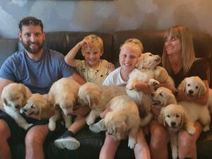 Tillie and Jackson Pups