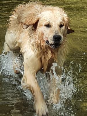 fun in the pool