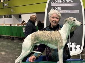 Pups sire at Crufts 2023
