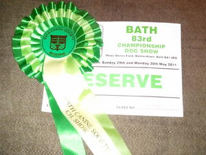 Sunday's Rosette