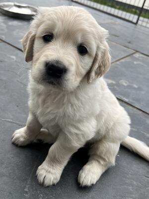 One of the boys