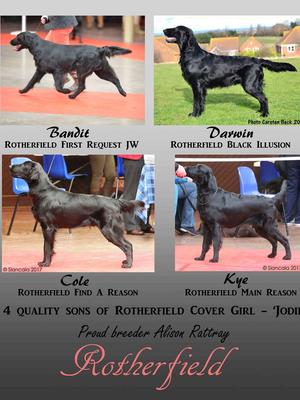 Some of Rotherfield males