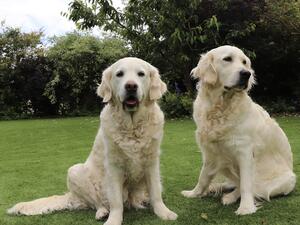 Rosie and her daughter Frankie June 2024