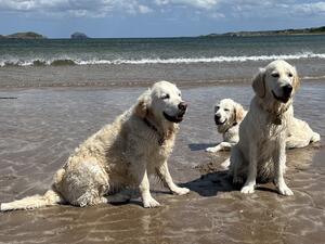 Summer means a visit to the beach and a swim!