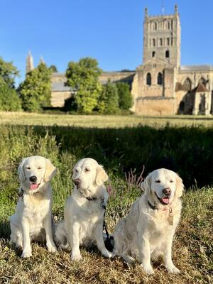 Early morning walk on a hot summer day