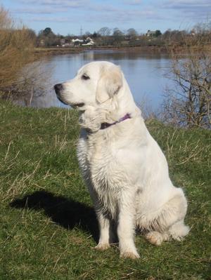 Heather aged 9 months