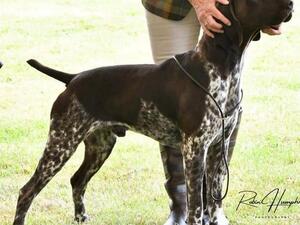 Derek (Balvenie Double Diamond)