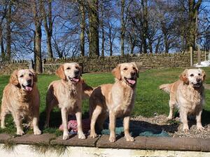 Winnie, Soonie, Violet & Hebe - 28.11.23