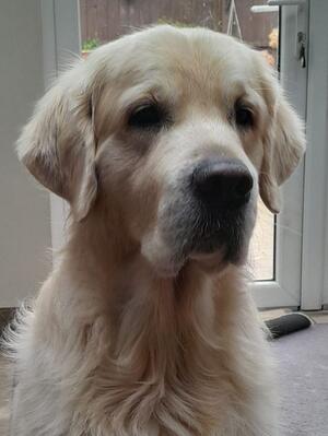 Eccles - autumn 2023