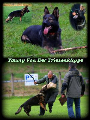 YIMMY AT 4.YRS