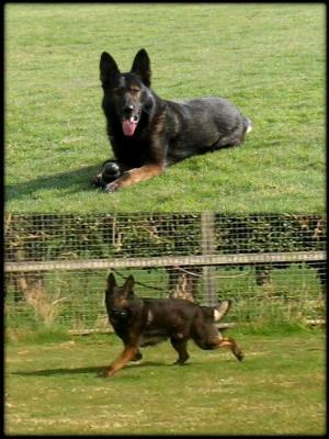 YIMMY AT 5.5. YRS