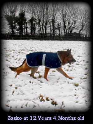 ZASKO AT 12.YEARS 4.MONTHS OLD