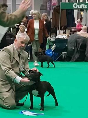 Crufts 2024