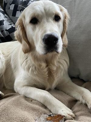 autumn at 7 months old