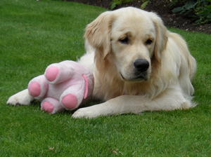 He loves to carry and play with his toys