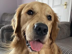 Merlin is such a smiler