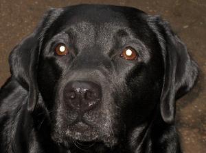 Ellie (September 2007)
