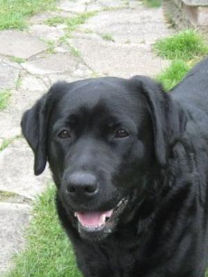 Ebbie smiling