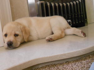 Six weeks