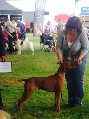 Hollie winning bitch CC at Richmond '14