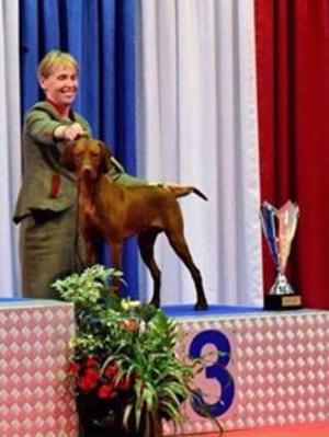 Junior BIS 3 LUXEMBOURG