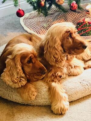 Rosie and sister Poppy
