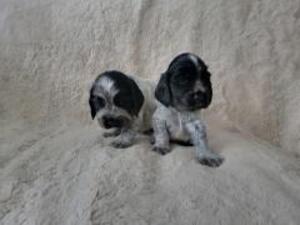 2 boys sold more pics in gallery