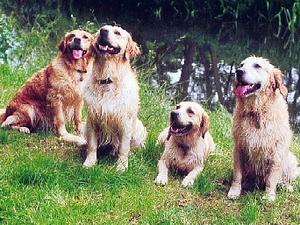 Blast from the past - Tor, Darwin, Kite & Race