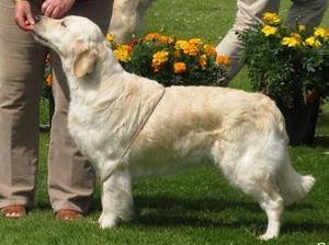Kola age 21 months