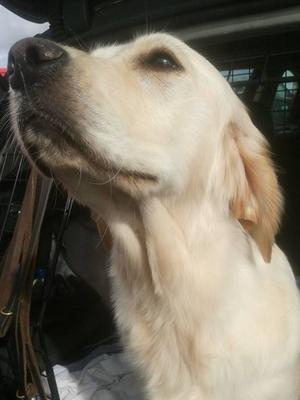 Mara 9 months old