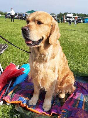 Rolo May 2021